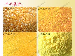 东北地区 好色先生视频下载深加工设备